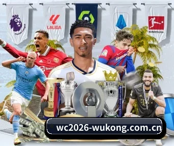 wc2026-wukong.com.cn APP